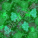 Colour:C