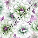 Colour:B