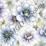 Colour:D