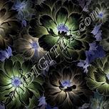 Colour:F