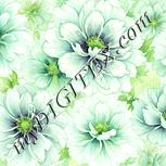 Colour:K