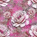 Colour:B