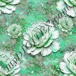 Colour:C