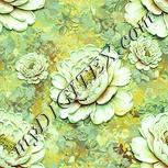 Colour:K