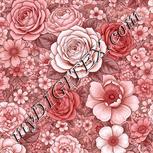 Colour:B