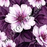 Colour:B