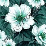 Colour:C