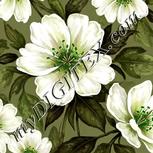 Colour:D