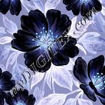 Colour:F