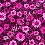 Colour:B