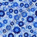 Colour:F