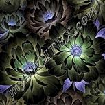 Colour:F
