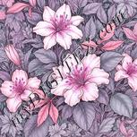 Colour:B