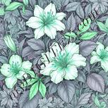 Colour:C