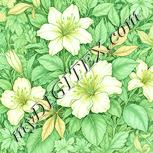 Colour:K