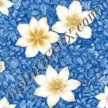Colour:A