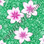 Colour:B