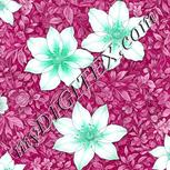 Colour:C