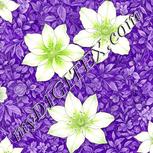 Colour:D