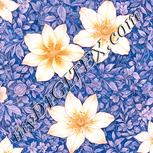 Colour:J