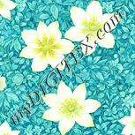 Colour:K