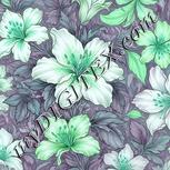 Colour:C