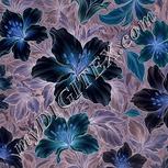 Colour:F