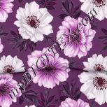 Colour:B