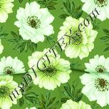 Colour:K