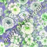 Colour:D