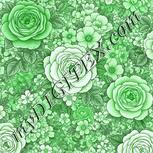 Colour:C