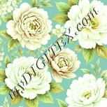 Colour:K