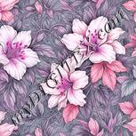 Colour:B
