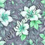 Colour:C