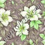 Colour:D