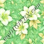 Colour:K