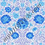Colour:F