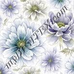 Colour:D