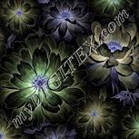 Colour:F