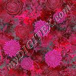 Colour:B