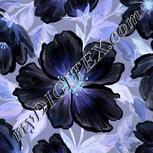 Colour:F