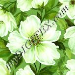 Colour:K