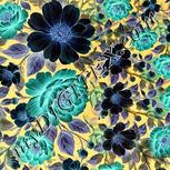 Colour:F