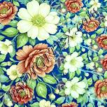 Colour:K