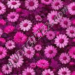 Colour:B