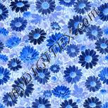 Colour:F