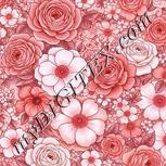 Colour:B