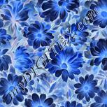 Colour:F