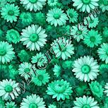 Colour:C