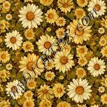 Colour:A